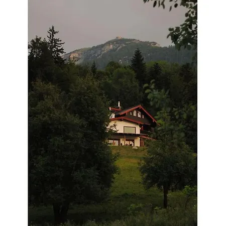 公寓 On The Slope 贝希特斯加登